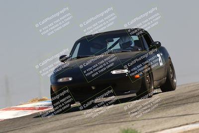 media/Jul-26-2025-Speed Ventures (Sat) [[fe569e6cf0]]/Purple Group/Grapevine/
